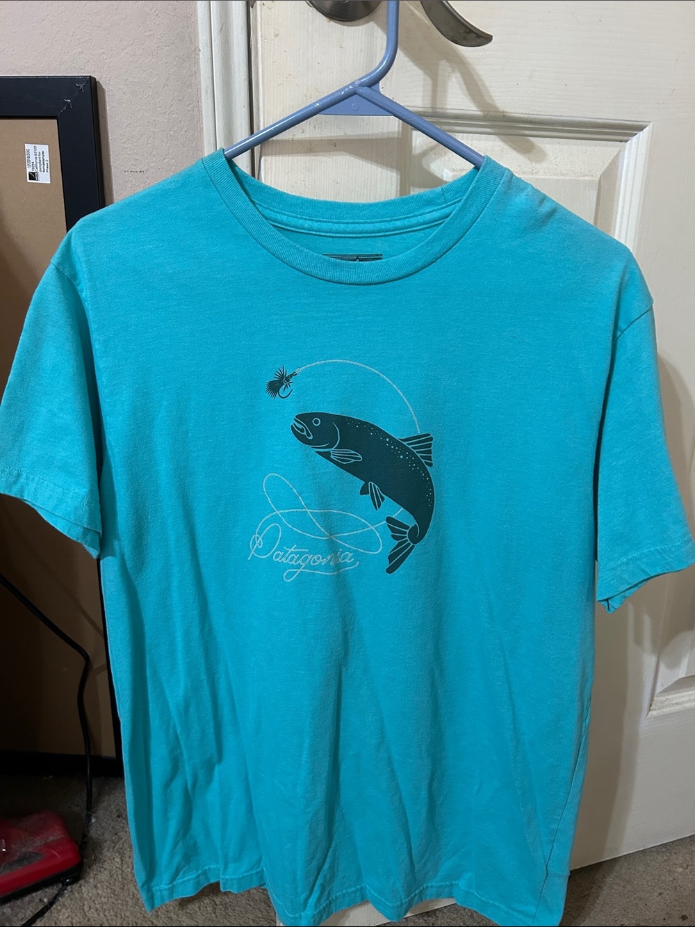 Patagonia Turquoise Fish Graphic Tee